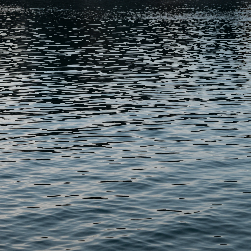 Water - Image #411