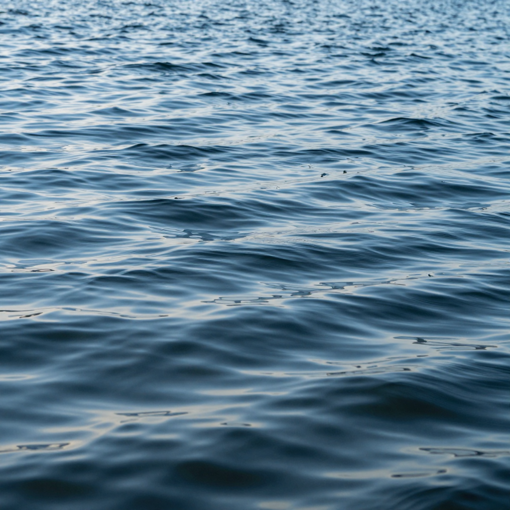 Water - Image #508