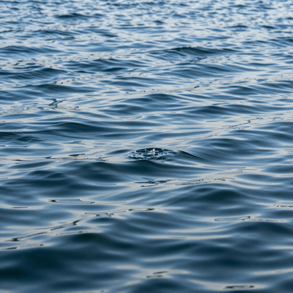 Water - Image #605