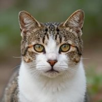 Related image