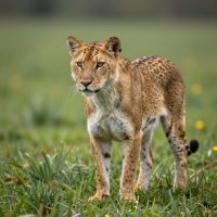 Related image
