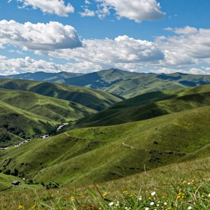 Landscapes