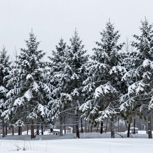 Winter