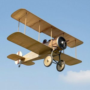 Wright Brothers Day